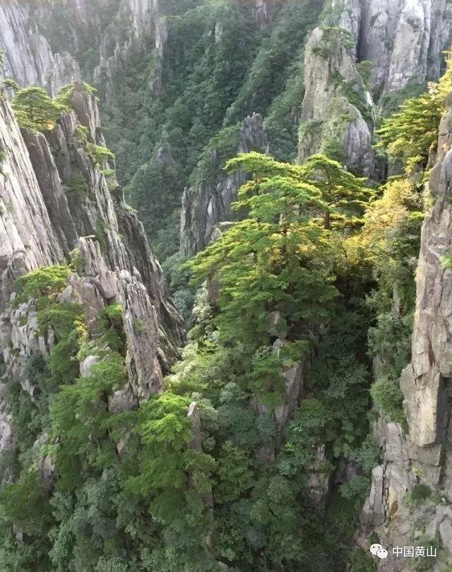 我有一份清朝时期的房产证有收藏价值吗?游戏画面